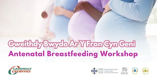 Caerphilly Antenatal Breastfeeding Workshop at Ysbyty Ystrad Fawr