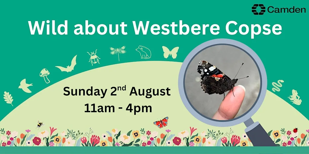 Wild about Westbere Copse