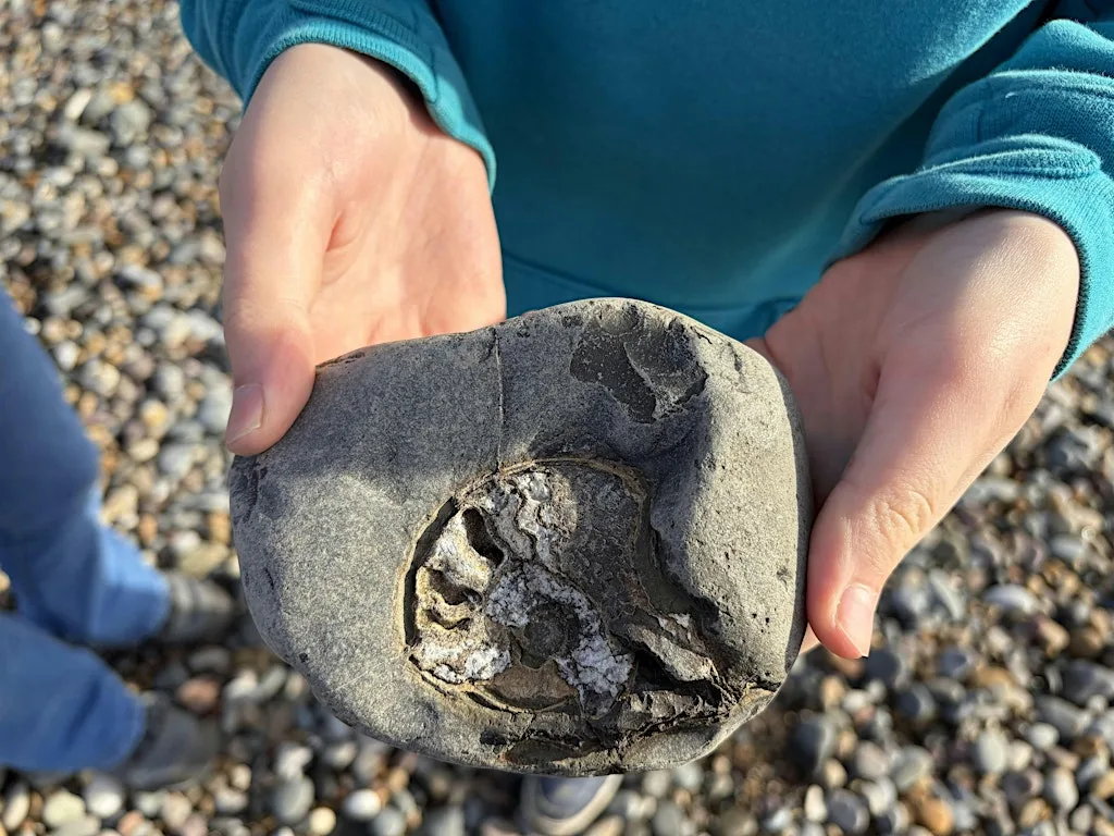 Secrets of the Shore