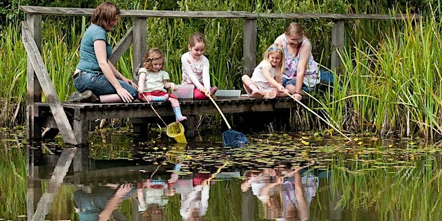 WILDFAMILIES Pond dipping at The Wolseley Centre at The Wolseley Centre