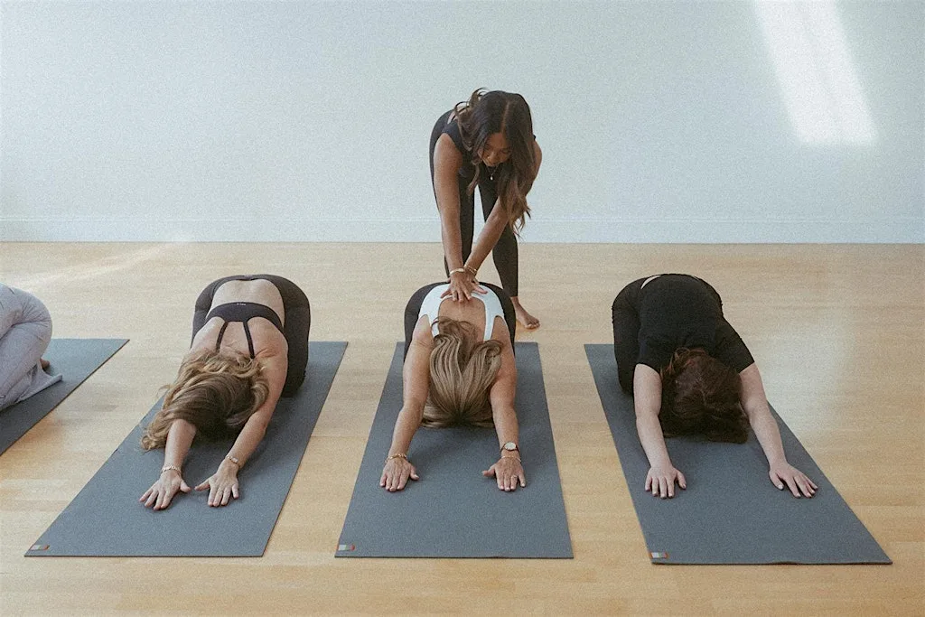 Weekly Yoga, Vinyasa Flow ⭐️
