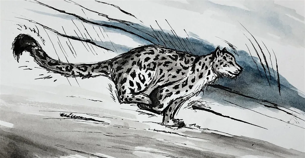 Big Cats Art Workshop with Chad: Adults Session at Happydashery