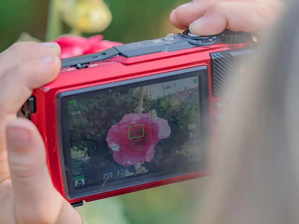 Children's Summer Photography Workshop