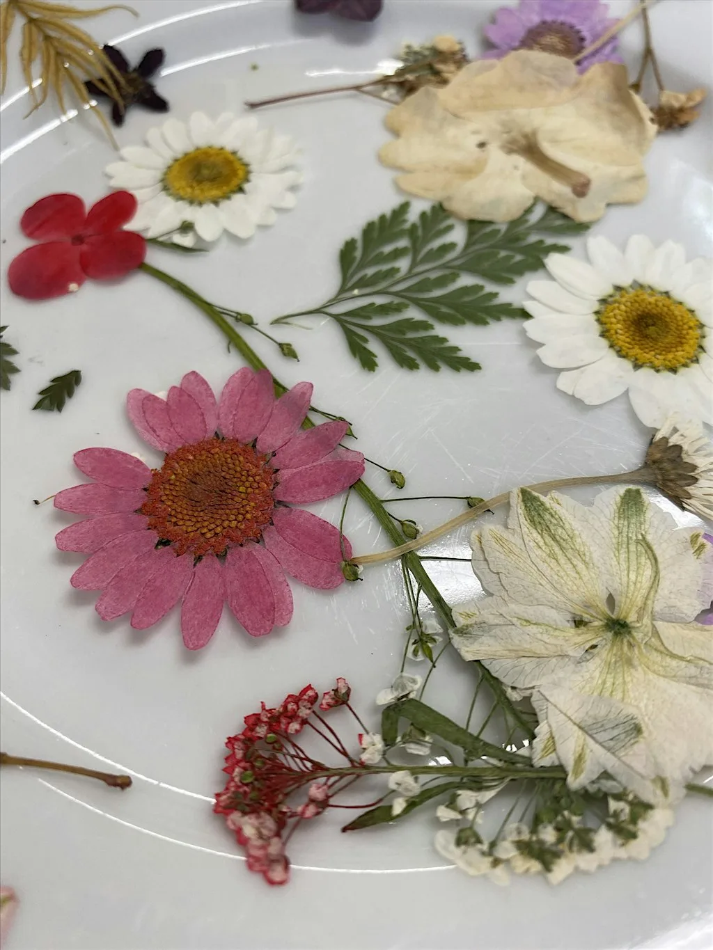 Paper and Plants - Natural Collage (for Juniors!) at Severn Gorge Countryside Trust