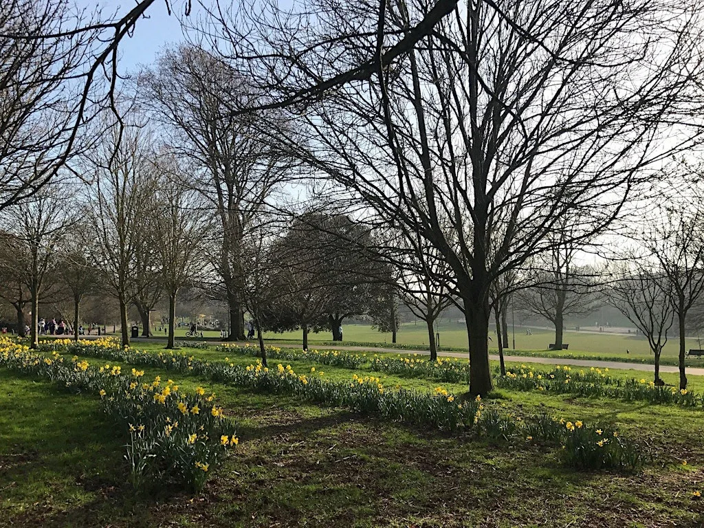 Walk and Talk with the Schools Mental Health Service - Hove Park at Hove Park - Brighton & Hove