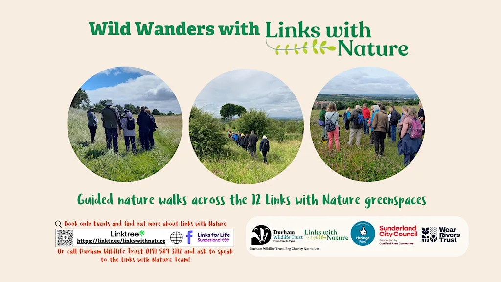 Wild Wanders: Things with Wings at Hetton Park and Bogs