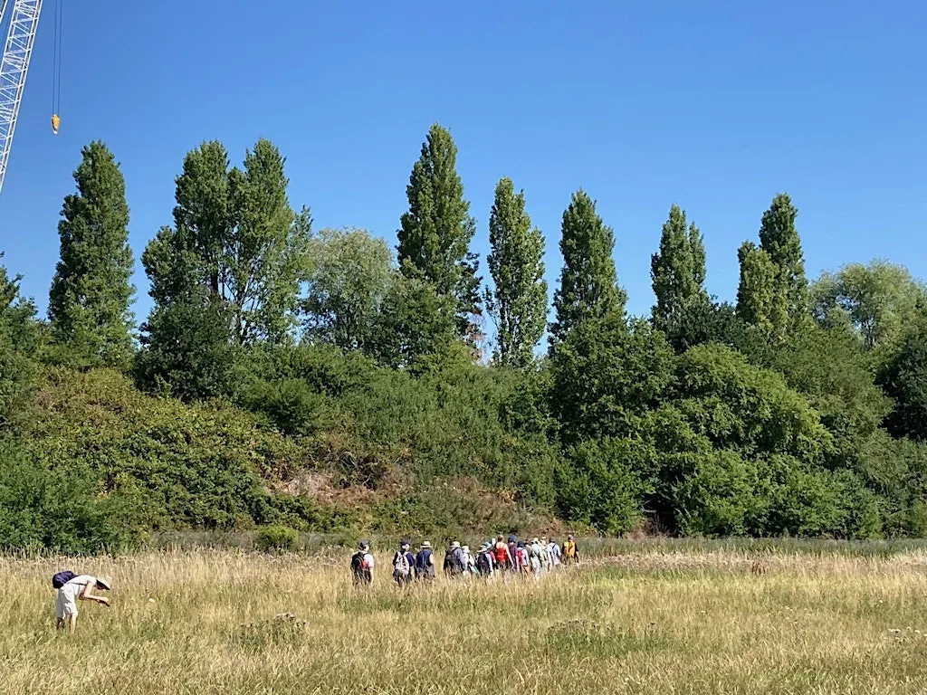 Guided Wildlife and Habitats Walk at Wormwood Scrubs at Wormwood Scrubs
