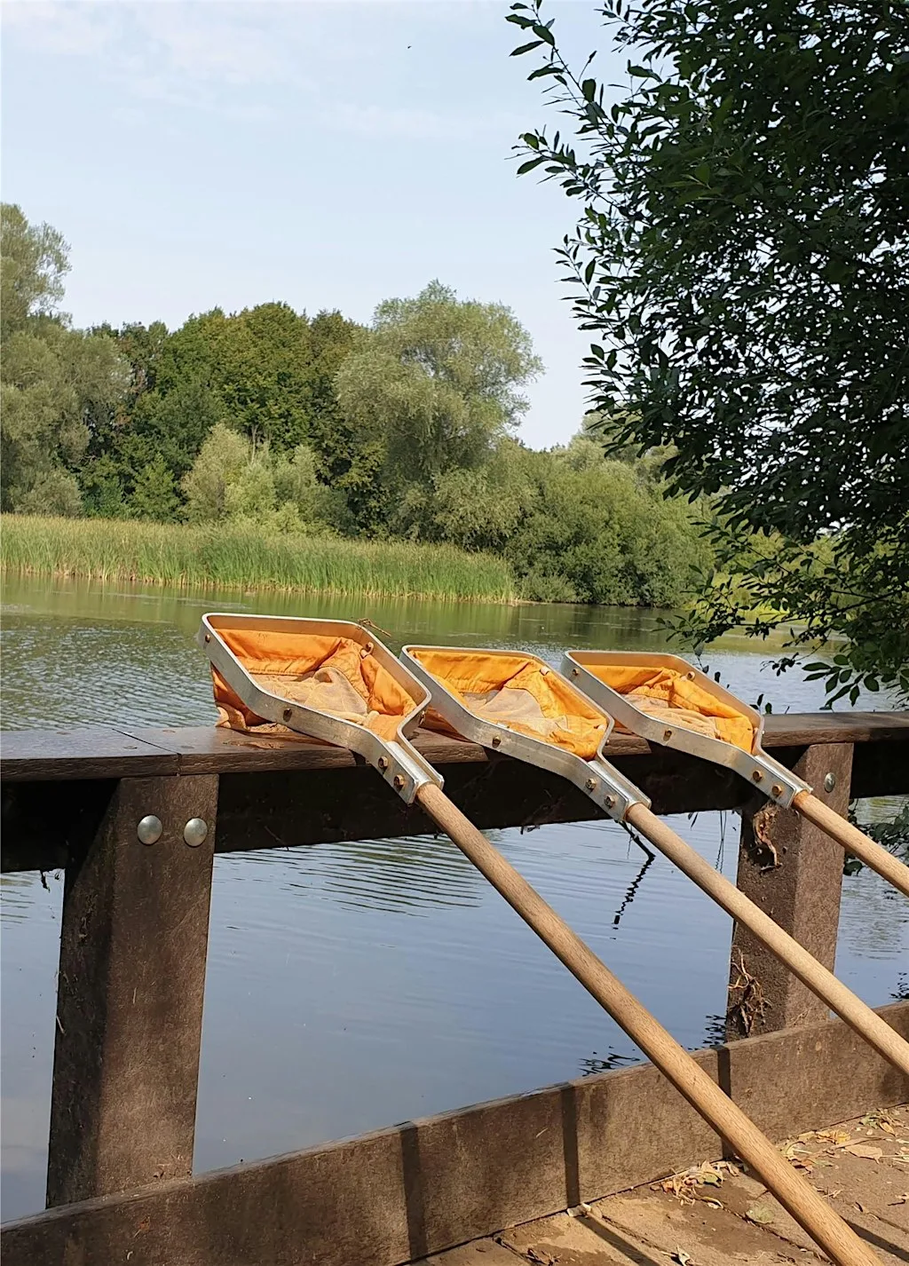 Pond Dipping at Barnwell Country Park