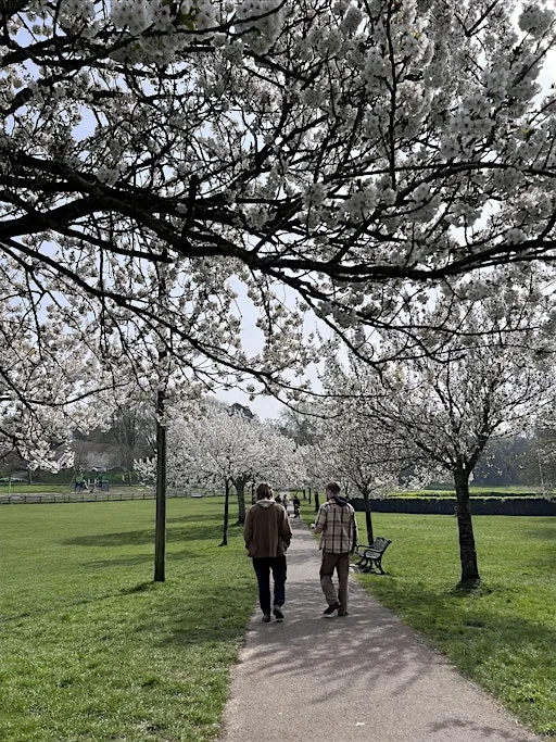 Community Mindful Walk in Hove Park, Brighton