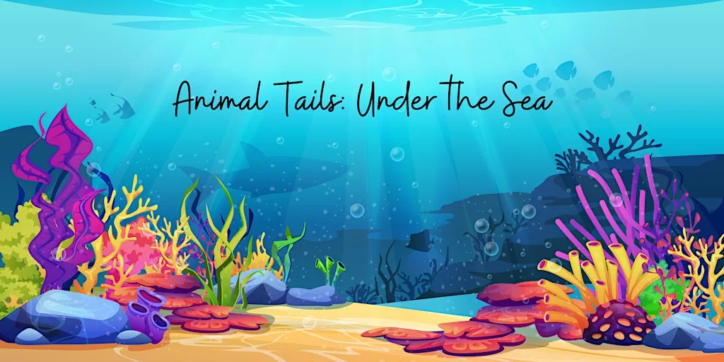 Animal Tails: Under the Sea at Museum Of Zoology