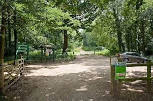 Stoke Park Woods - WalkTogether Eastleigh at Stoke Park Woods