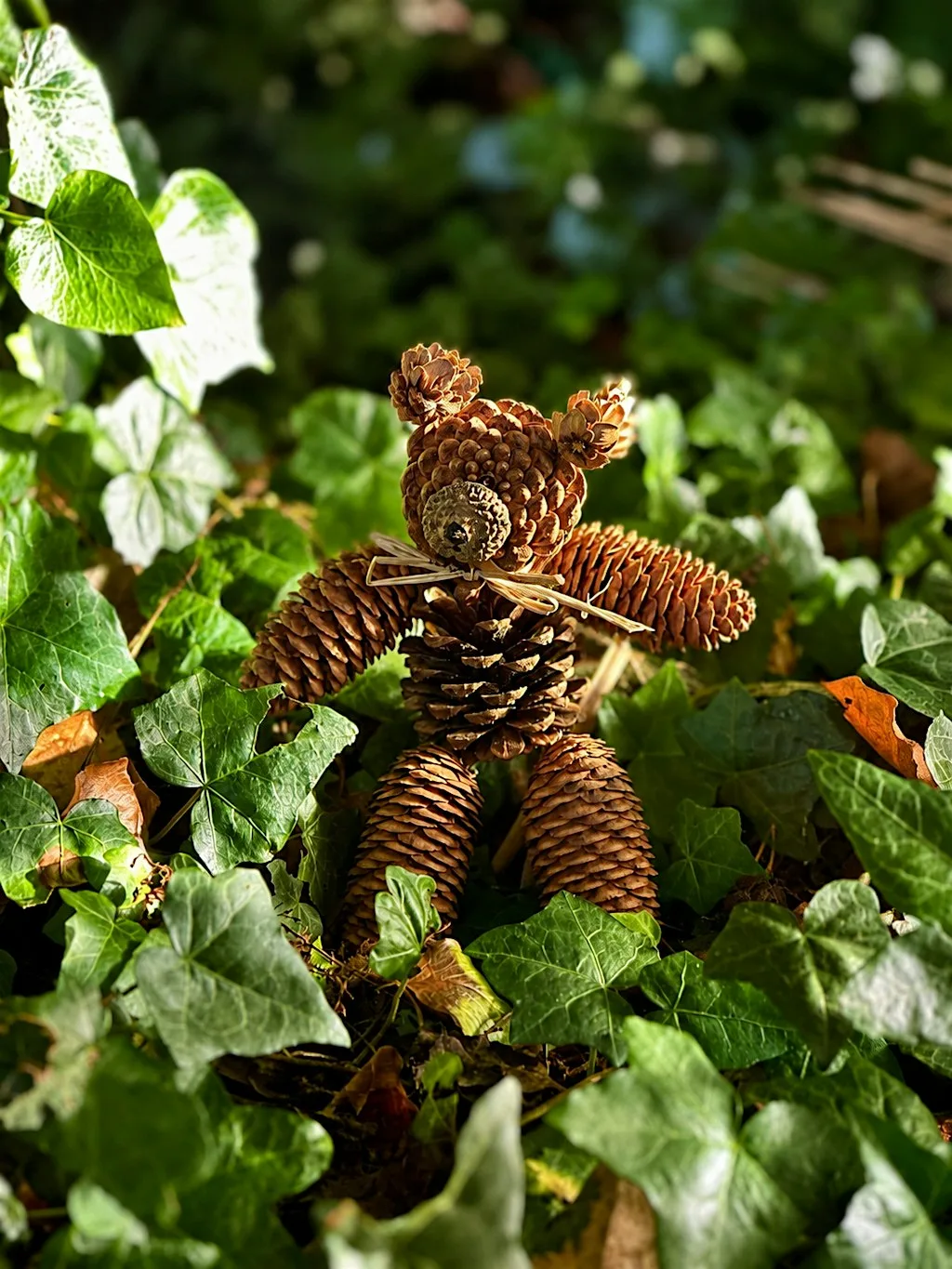 Bear Visits the Woods’ Stop Motion Workshop at 20-21 Visual Arts Centre
