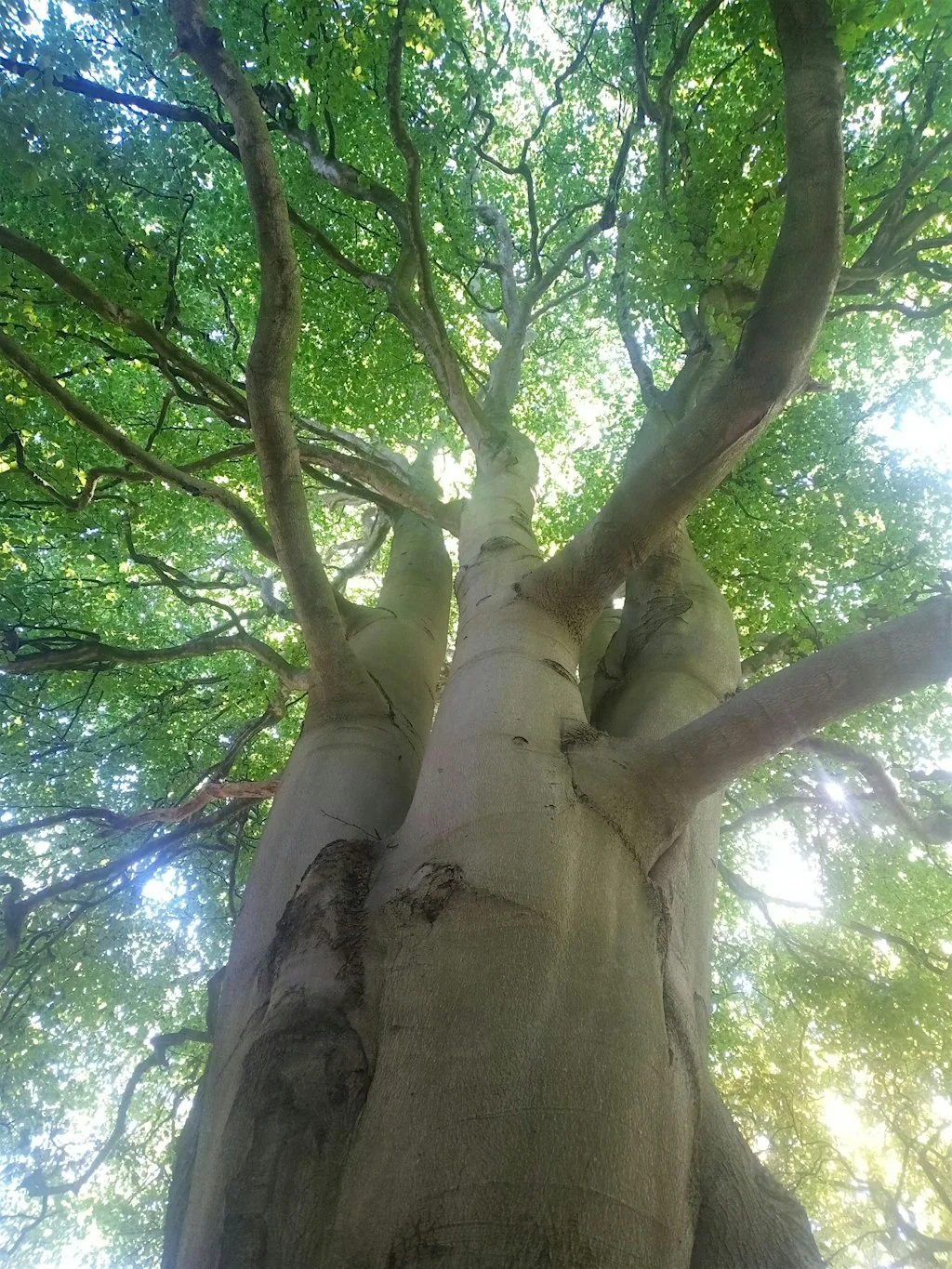 Cultivate Halton: Nature Writing Workshop Widnes at Catalyst