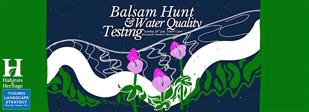 Balsam Hunt & Water Quality Testing at Buccleuch Gardens