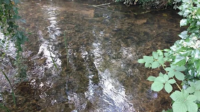 In the river at Barrowcroft! at Chiltern Rangers Depot / Kingsmead Recreation Ground