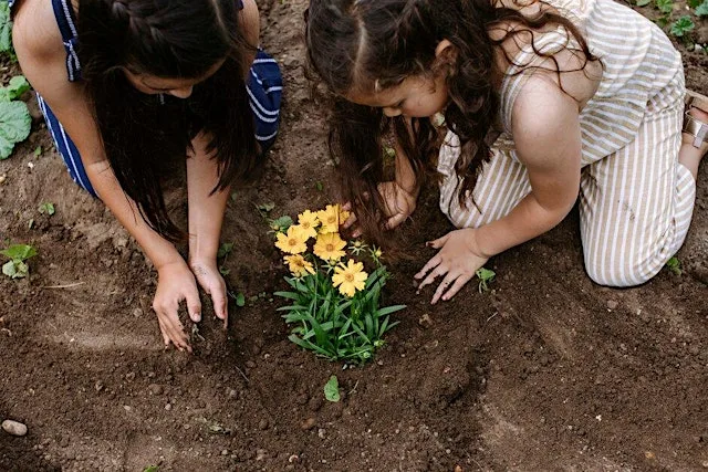 Growing Futures: Inspiring Young People Through Nature at RHS Garden Bridgewater