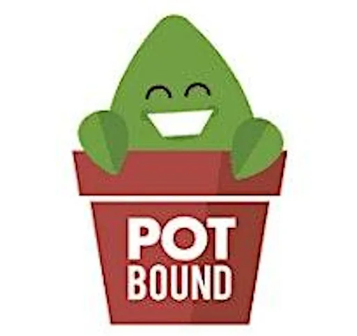 Arts and Crafts Sessions by Pot Bound at Hope Street Park & Community Pavilion