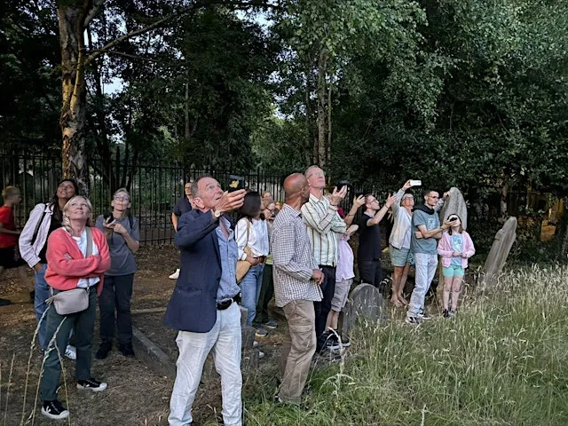 Bat Walk with our friends from Ealing Wildlife Group