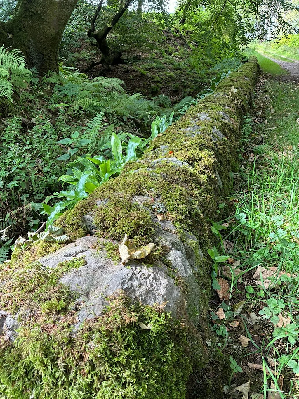 The Kintyre Way - August Walkfest - Clachan Circular at Clachan Church