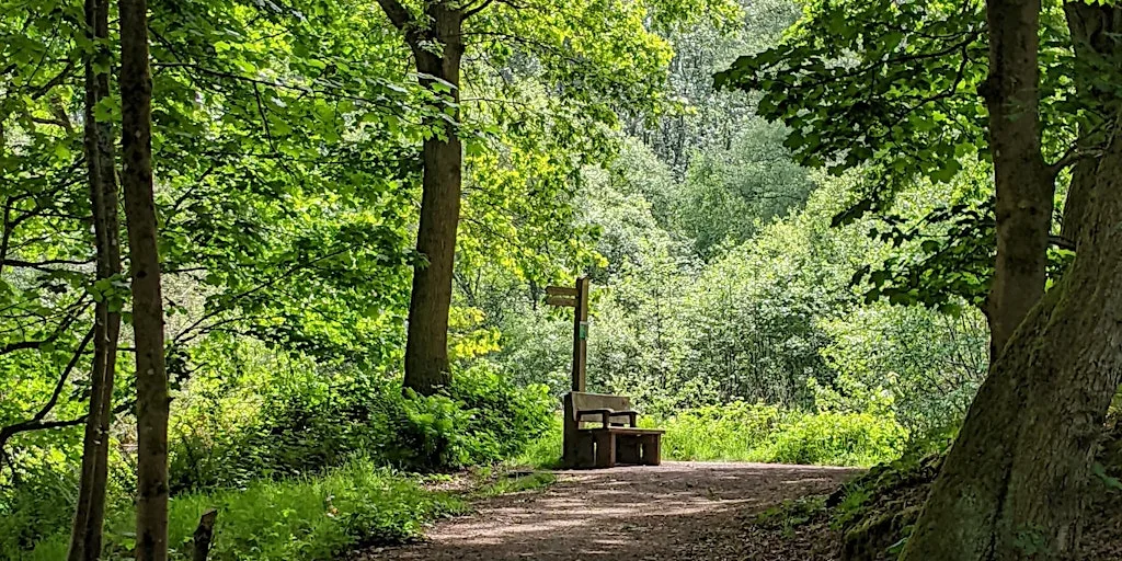 Wellesley Woodlands Health Walk - Wharf Plantation at Wharf Car Park