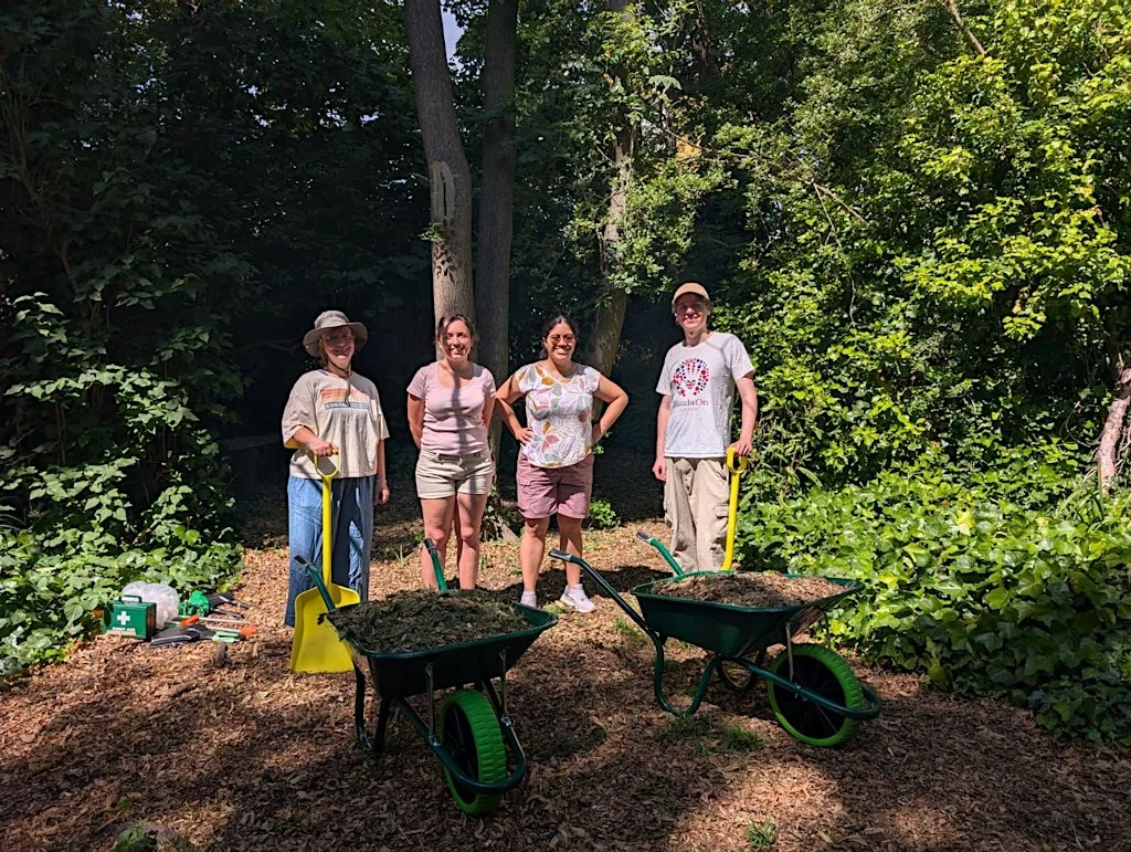 Family Volunteering Day @ Barnsbury Wood Nature Reserve at Barnsbury Wood Local Nature Reserve