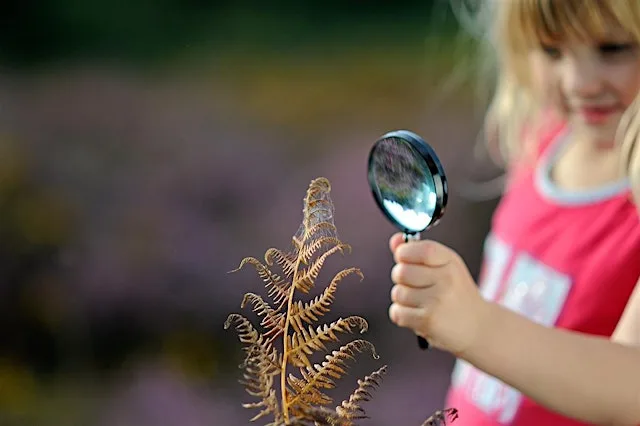 Discover Learn Play: an educators gathering at Scottish Wildlife Trust, Montrose Basin Visitor Centre and Wildlife Reserve