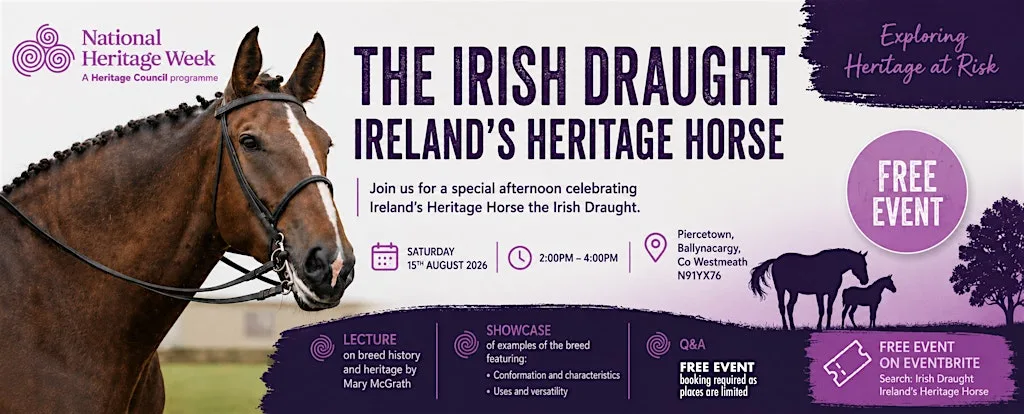 The Irish Draught – Ireland's Heritage Horse
