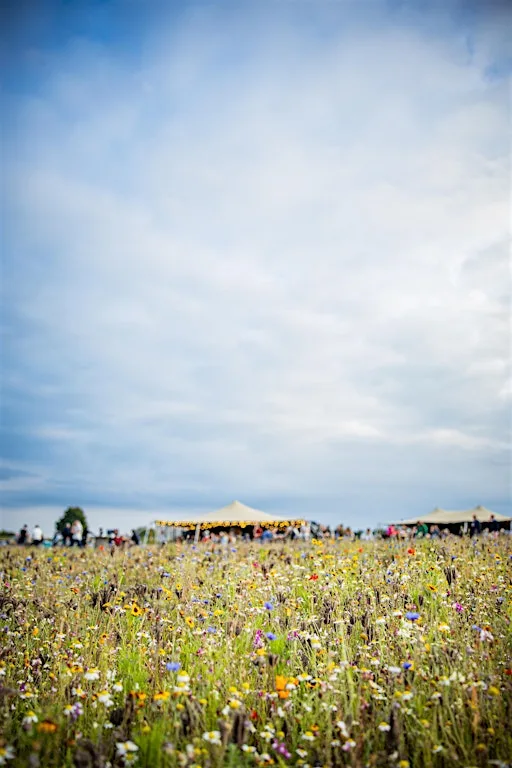 Flower Belt Fitness - Circuits Class at The Flower Belt - Harrogate