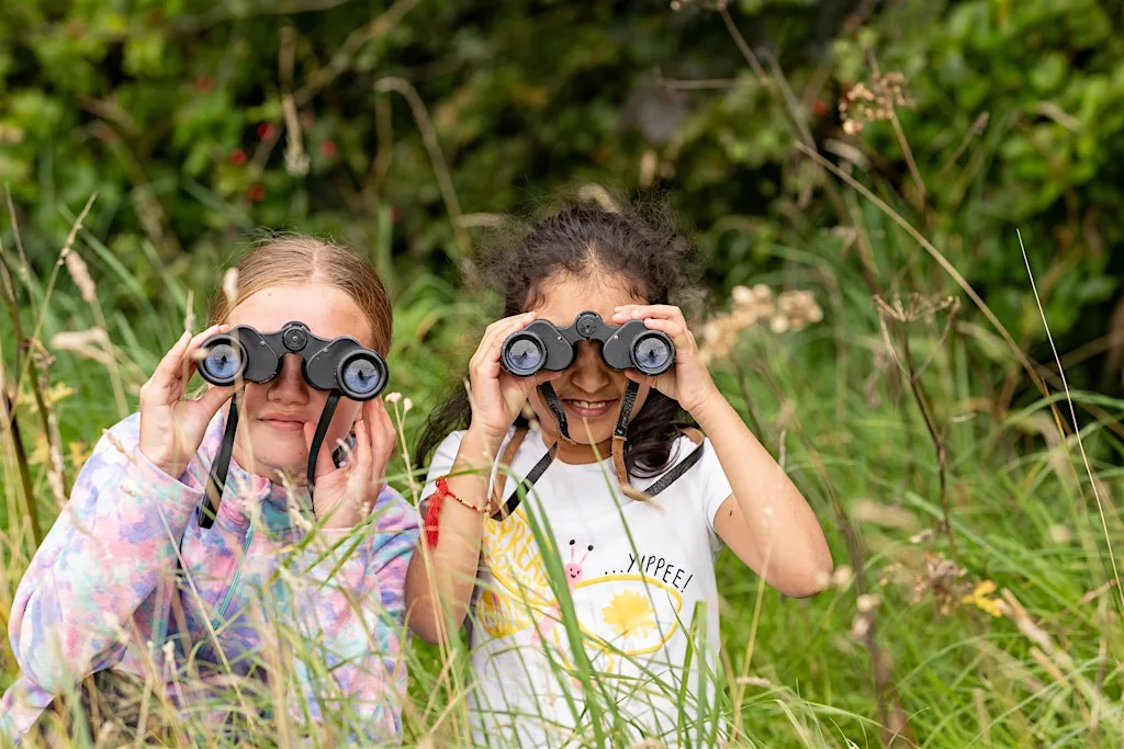 Birds Eye View at Mowbray Park Community Garden