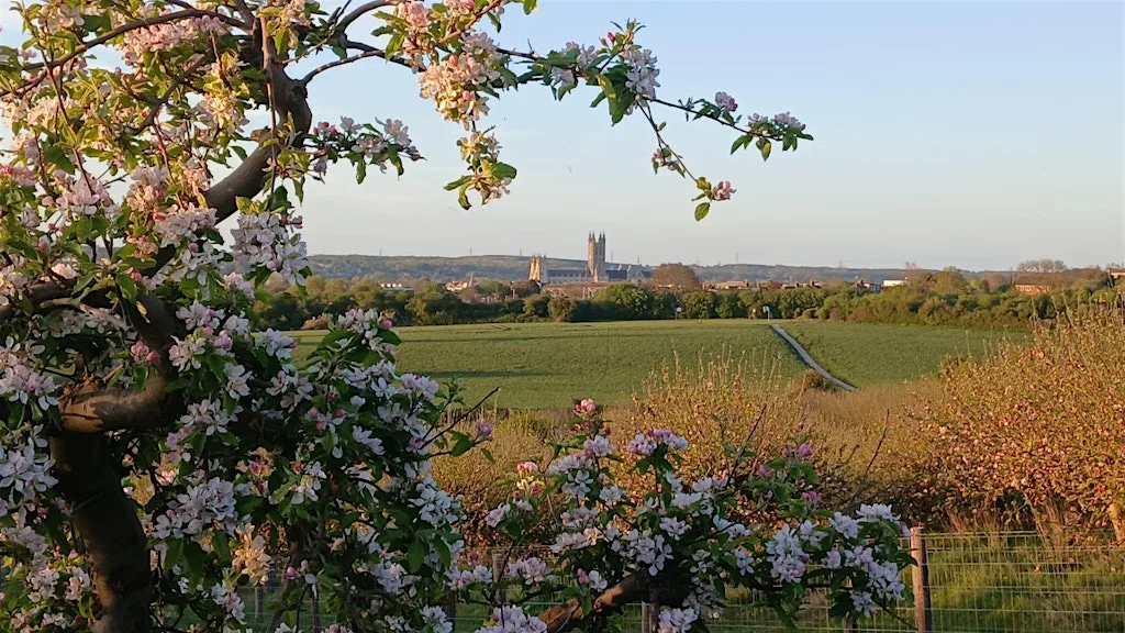 Wincheap Fields - Walk and Writing Workshop 2: Writing for Inspiration at The Beaney House of Art & Knowledge