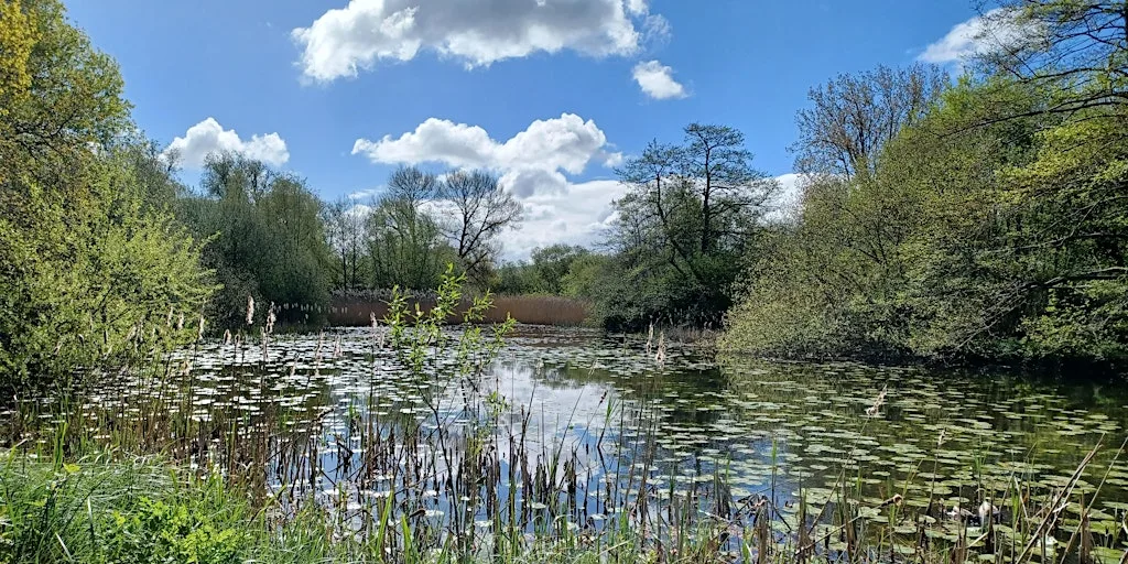 Members only Event: Discover Woods Mill Nature Reserve, Henfield at Woods Mill Nature Reserve