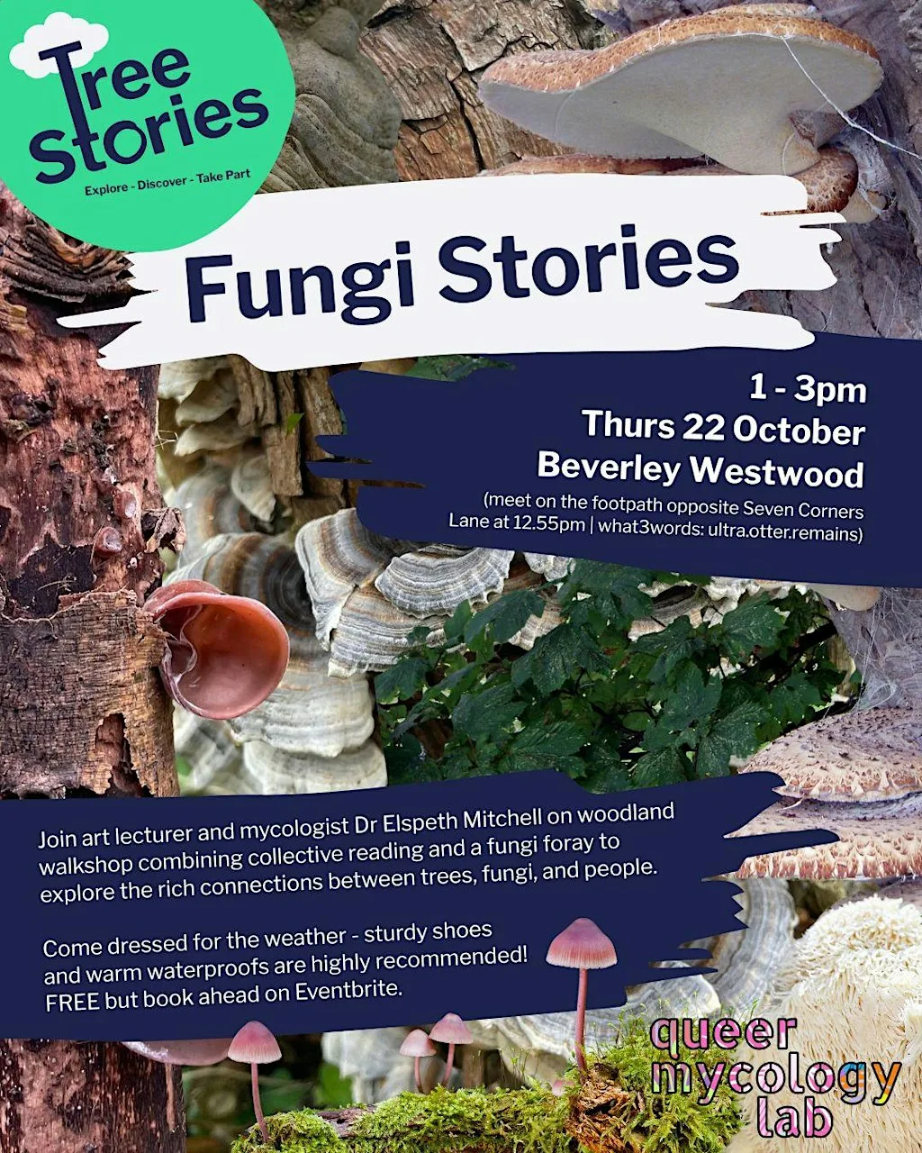 Fungi Stories: A Reading Walk