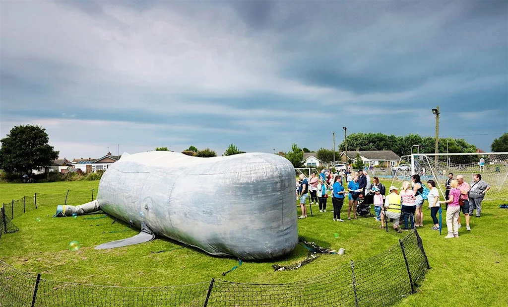 A Whale of a Day