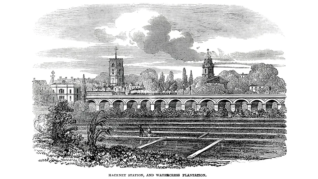 HACKNEY HISTORY TALK: Laurie Elks on The History of Morning Lane Tesco Site at Hackney Archives