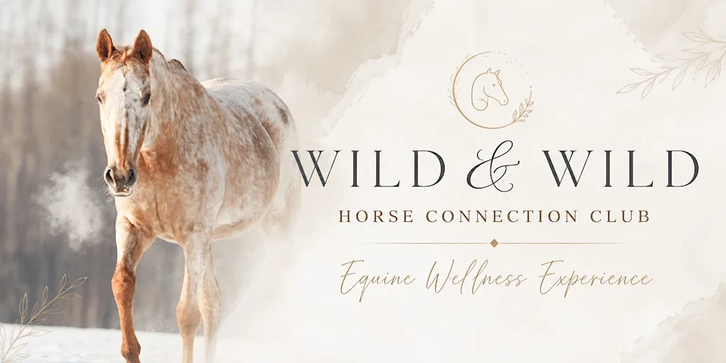 WILD & WILD Horse Connection Club | Equine Wellness Experience at Giantswood Lane