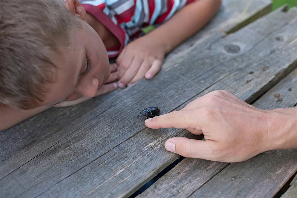 Bugs and Minibeast themed special (Ages 0-18 months) at Lemon Tree Family Hub