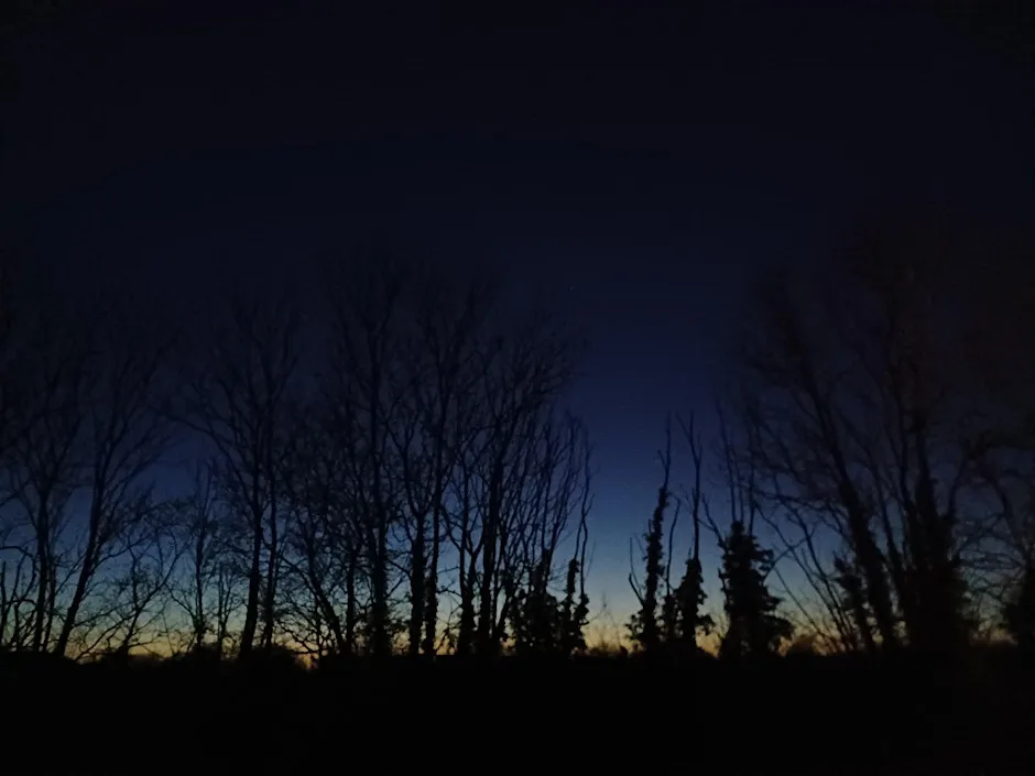 Wild in the Woods (Cambourne): Family night walk at Cambourne Nature Reserve Car Park