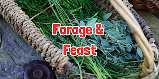FORAGE & FEAST in Alderley Edge (Cheshire) at National Trust Car Park - Alderley Edge