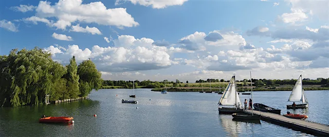 Redbridge Parkinson's Awareness Walk/Run at Fairlop Waters Country Park