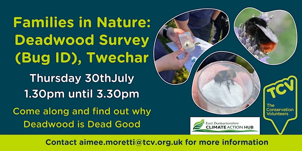 Families in Nature: Deadwood Survey and Bug ID (Twechar) at Twechar Healthy Living & Enterprise Centre