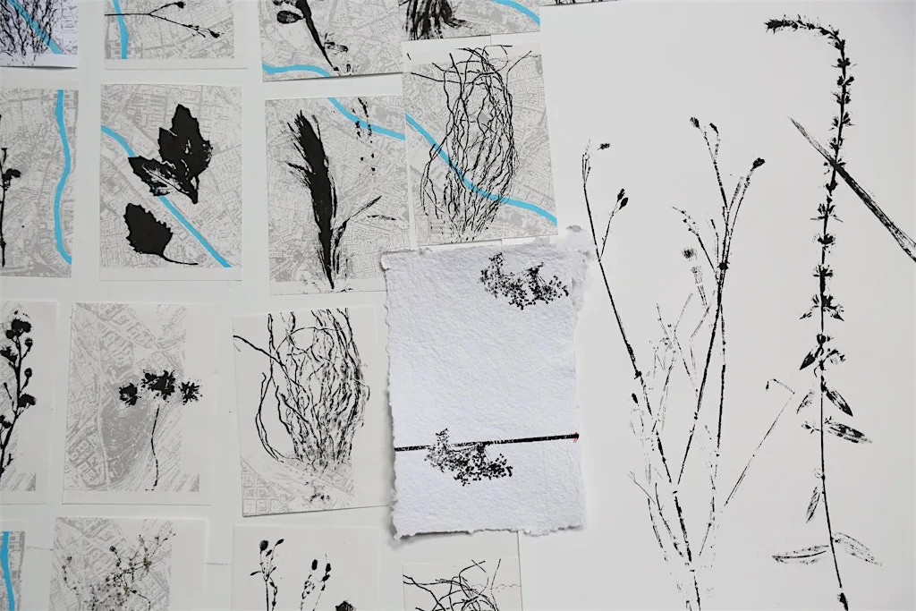 River plants & printmaking