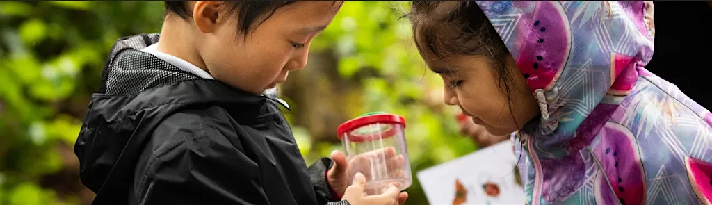 Urban Nature Club at Woodberry Wetlands: Make a Stop Motion Nature Story