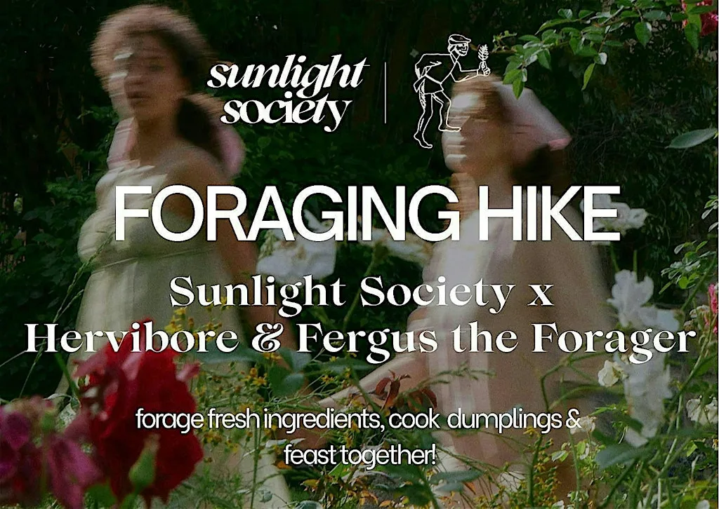 Wild Food Forage x Sunlight Society: Chinese dumplings