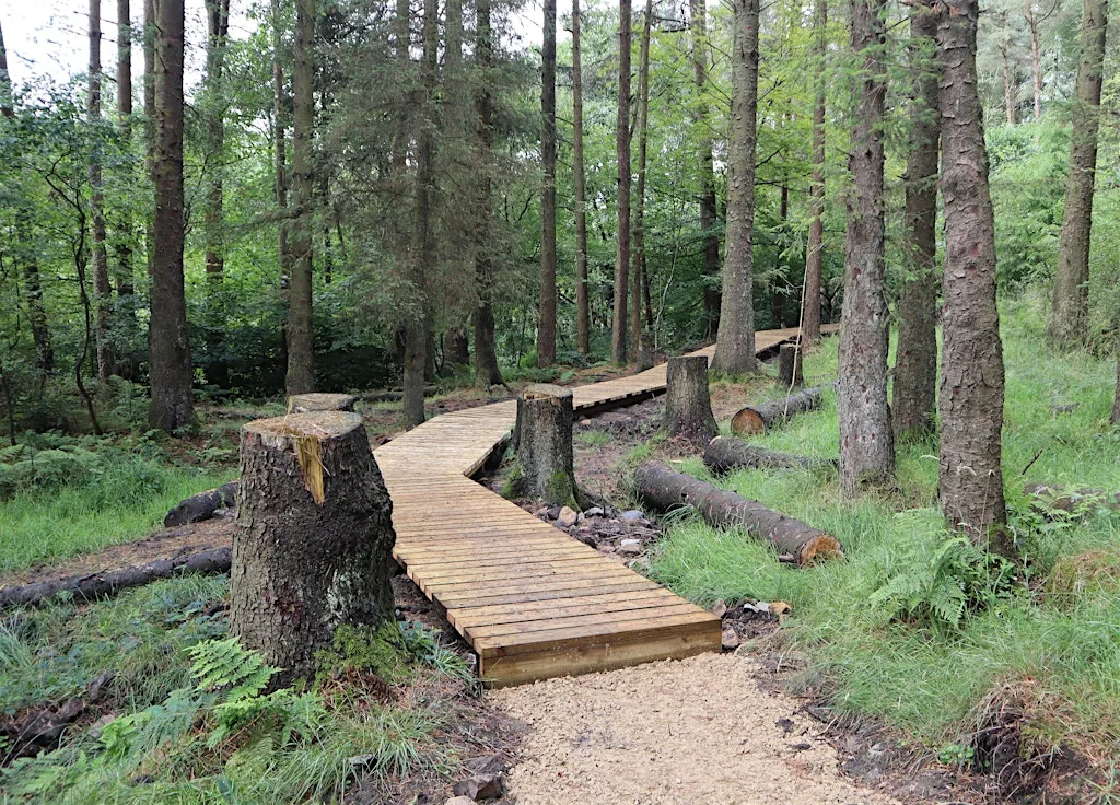 Walk in the Woods and Across the Moors at Woodland Trust Walker Fold Car Park