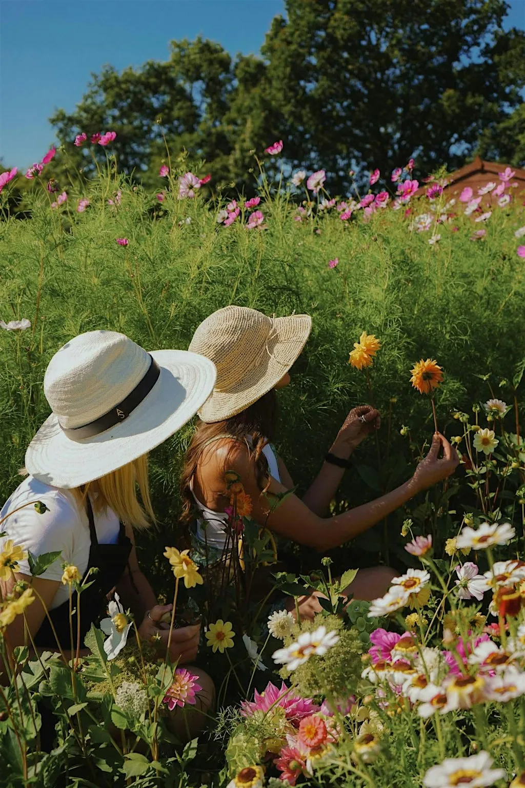 Flower Picking & Painting at The Flower Farm Denstroude