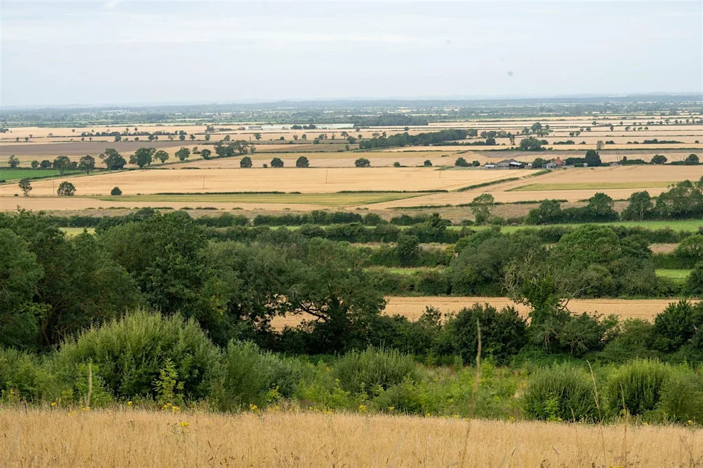 LWG Walk - Temple Bruer - 9.5 Miles - Leisurely - ****NOTE 10AM START****