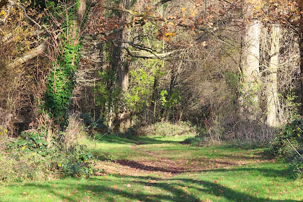 Bug hunt and nature walk - Springfield Park, Kidderminster at Springfield Park