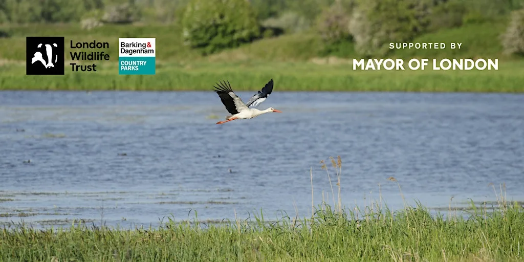 Beaver and Stork: Walk and Talk at Eastbrookend Discovery Centre