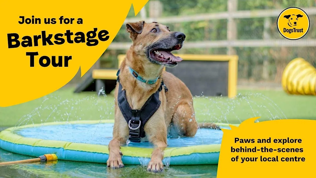 Barkstage Tour