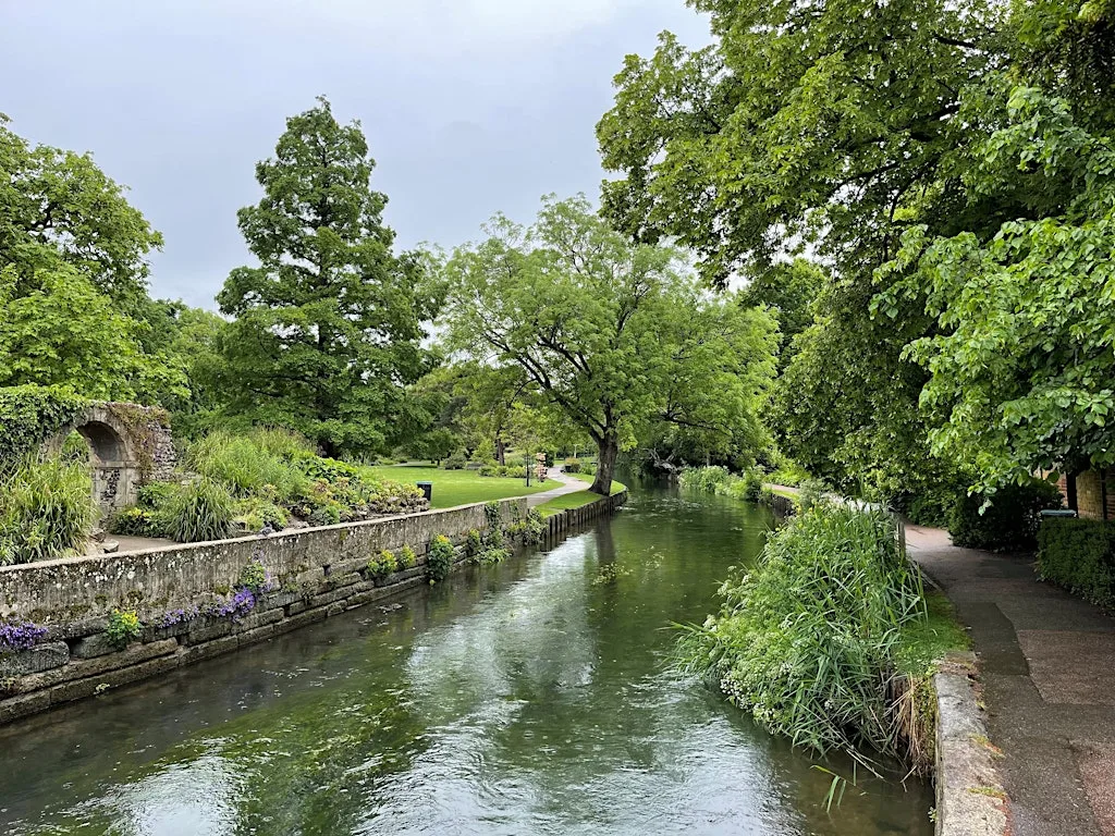 Riverside guided tree walk at Toddlers Cove Car Park